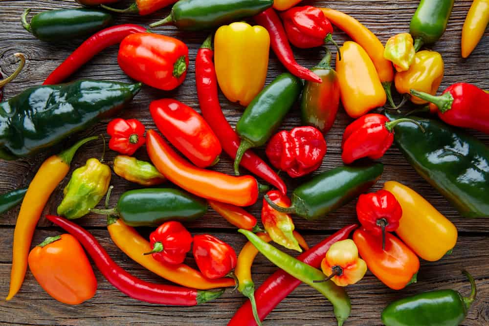 Peppers and Chilies
